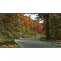 MONITOR NEC LCD DE 46" X462UN